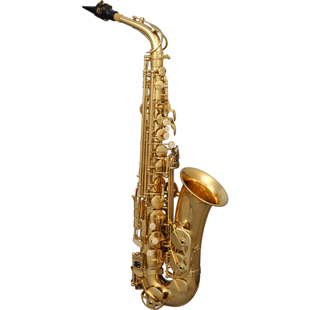 Anches de saxophone alto de haute qualité Force 2,5, 10 pièces/boîte 