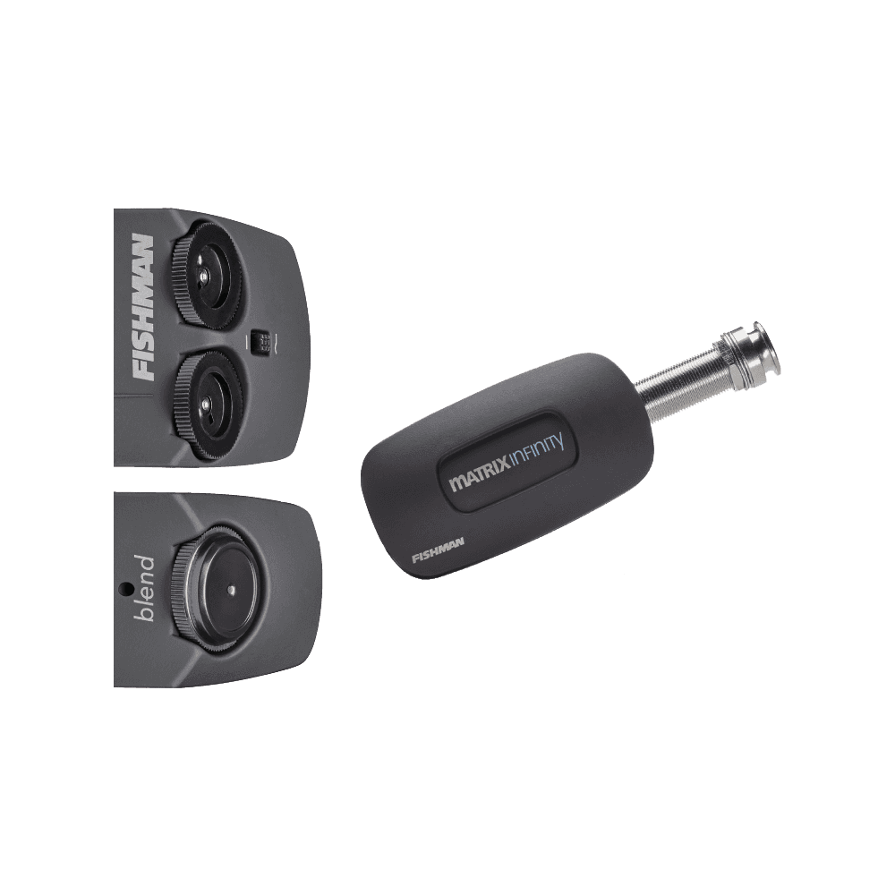 Fishman Matrix Infinity, Format large , système à double micros Algam