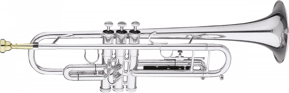 Sourdine trompette droite aluminium noire