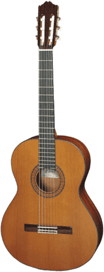 CUENCA クエンカ Mod.40-ABETO クラシックギター（Cuenca 40-R | Algam 