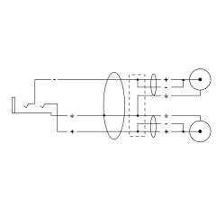 Cordial Câble Y bretelle minijack femelle stéréo/2 Rca 30 cm - Vue 2