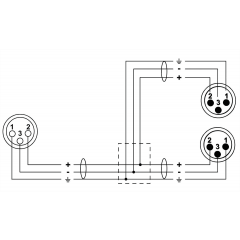 Cordial Câble Y bretelle XLR femelle/2 XLR mâles 30 cm - Vue 2