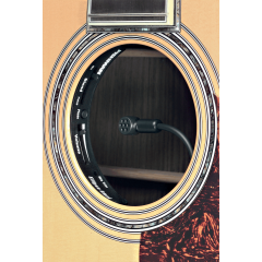 Fishman Ellipse Matrix format large - Vue 2