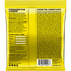 Ernie Ball Paradigm beefy slinky 11-54 - Vue 2