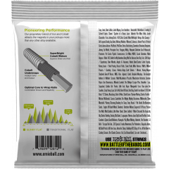 Ernie Ball Regular Slinky flatwound 50-105 - Vue 2