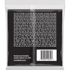 Ernie Ball Slinky stainless steel 50-105 - Vue 2