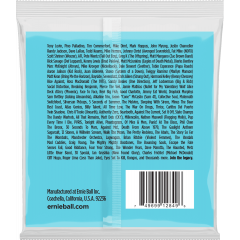 Ernie Ball Slinky nickel wound slinky super long scale 45-105 - Vue 2