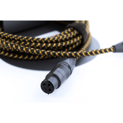 Cordial CXM 10 FM-EDITION 25 - Vue 2