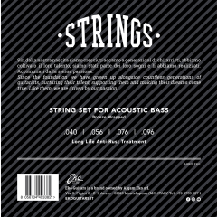cordes pour basse acoustique Royal Classics BJ60 a vendre