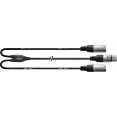 Cordial Câble Y bretelle XLR femelle/2 XLR mâles 30 cm - Vue 1