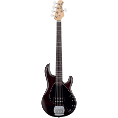Sterling Stingray RAY5, 5 cordes, Walnut Satin - Vue 1