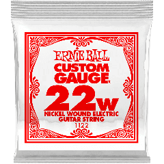 Slinky nickel wound 22 - Vue 1