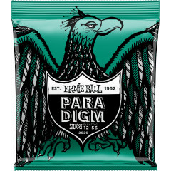 Ernie Ball Paradigm not even slinky 12-56 - Vue 1
