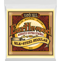 Ernie Ball Earthwood 80/20 bronze regular - silk&steel 13-56 - Vue 1