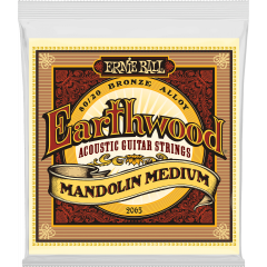 Ernie Ball Earthwood 80/20 bronze mandoline medium 10-36 - Vue 1