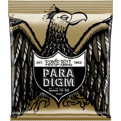 Ernie Ball Paradigm 80/20 bronze medium 13-56 - Vue 1