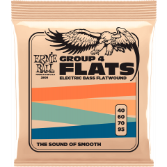 Ernie Ball Flats Group 4 40-95 - Vue 1
