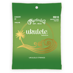 C.F. Martin & Co Polygut, Concert - Vue 1