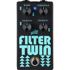 Aguilar Filter Twin - Vue 1