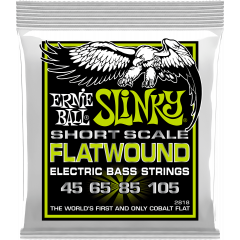 Ernie Ball Regular Slinky Flatwound Short Scale 45-105 - Vue 1