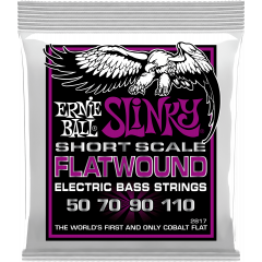 Ernie Ball Power Slinky Flatwound Short Scale 50-110 - Vue 1