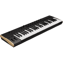Korg Clavier de contrôle 49 touches Polyphonique aftertouch et MIDI 2.0 - Vue 1