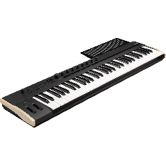 Korg Clavier de contrôle 61 touches Polyphonique aftertouch et MIDI 2.0 - Vue 1
