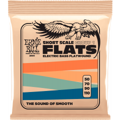Ernie Ball Flats Group 1 Short Scale 50-110 - Vue 1