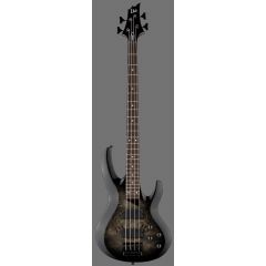Ltd B204 DX Black Burst - Vue 1