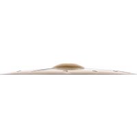 Zildjian A Custom 14
