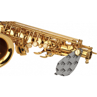 BG Sèche-tampons saxophone - Vue 1