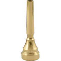 Denis Wick Trompette Classic plaquée or 2W - Vue 1