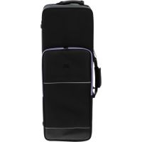 SML Paris Saxophone ténor Sib débutant verni T420-II - Vue 2