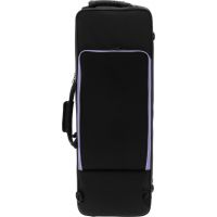 SML Paris Saxophone ténor Sib débutant verni T420-II - Vue 6