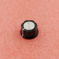 Korg Bouton rot. gros modèle MICROKORG - Vue 1