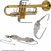 SML Paris Bugle débutant Sib argenté BU600S - Vue 4