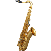 SML Paris Saxophone ténor Sib étudiant verni T620-II - Vue 1