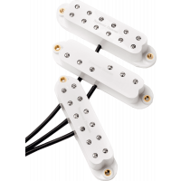 Seymour Duncan Everything Axe, kit blanc - Vue 1