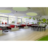 Primacoustic 2 panneaux de plafond ronds à peindre 91 x 91 x 3,8 cm - Vue 1