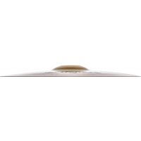 Zildjian S 14