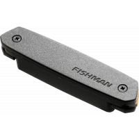 Fishman Neo-D simple bobinage - Vue 1