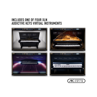 Focusrite Scarlett Solo deuxième génération - Vue 6