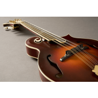 Fishman M-300 Nashville pour mandoline - Vue 2