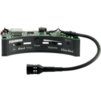 Fishman Ellipse Matrix format large - Vue 1