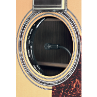 Fishman Ellipse Matrix format large - Vue 2