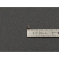 Shure Contact Capsule - Vue 3