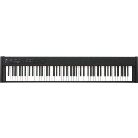 Korg PIANO D1 - Vue 1