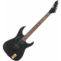 ESP Signature Kirk Hammett vintage black - Vue 2