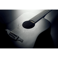 Lâg Skullture dreadnought noir satin tête de mort - Vue 2