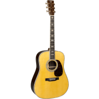 C.F. Martin & Co D-45 - Vue 1